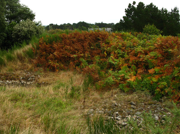 Tumulus de Man&eacute; er H'roech